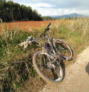 Rodal de Sabadell