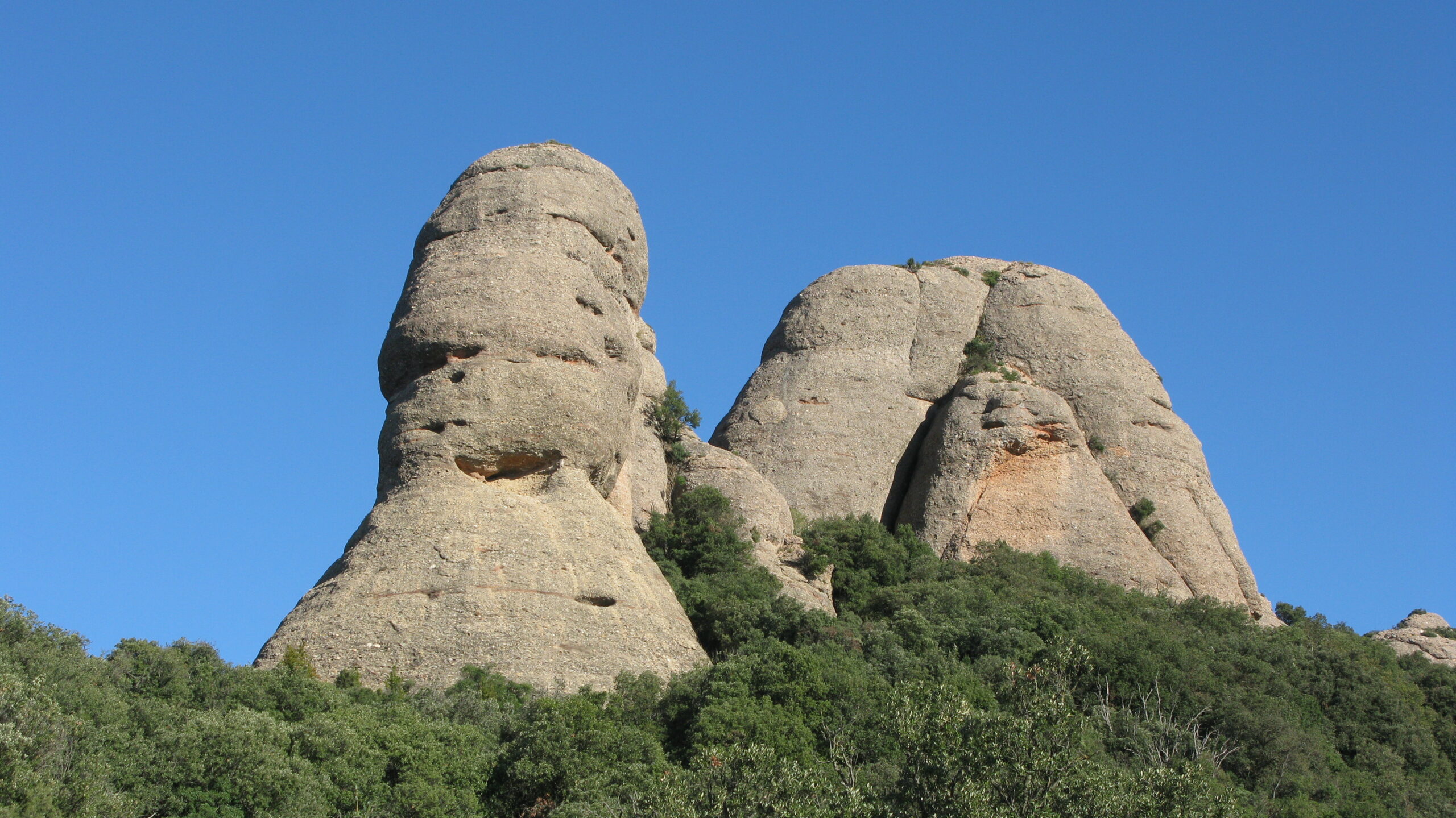 EL MONTSENY I LES SEVES QUATRE ESTACIONS - A. F. I CUSPINERA - LINGUA  CATALANO