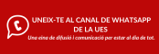 Canal whatsapp